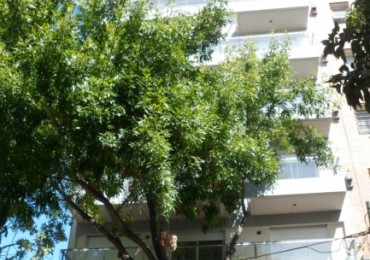 VENTA DPTO 2 DORMITORIOS. CERRITO 951, SEMIPISO, BALCON. EXTERNO